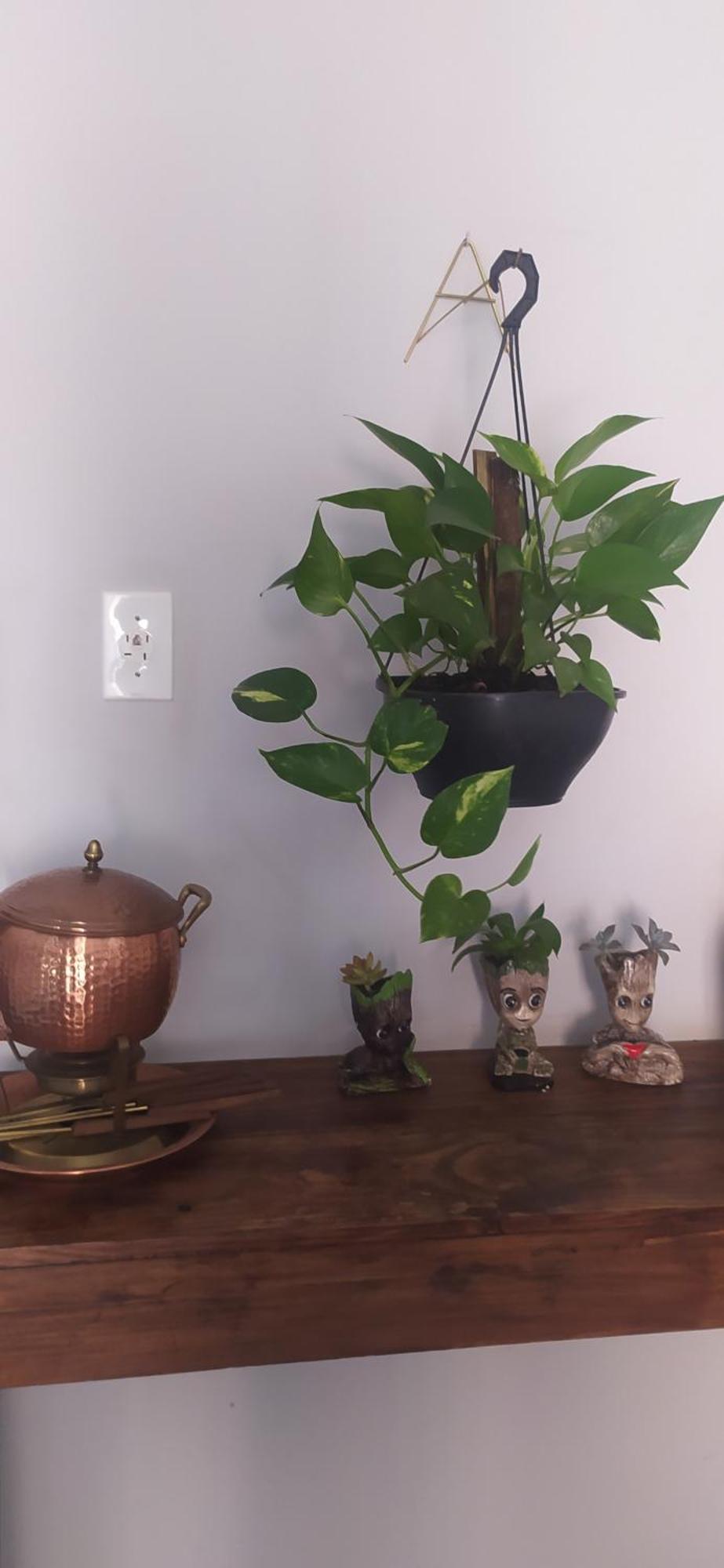 Espacoso Bairro Piracicamirim Apartment